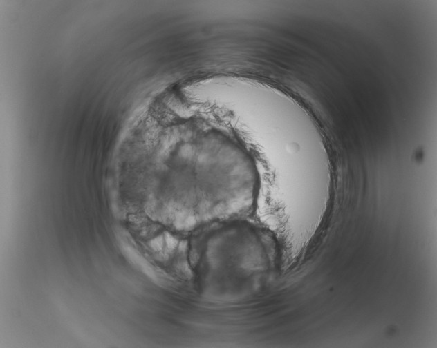 X0000115210541200911251510