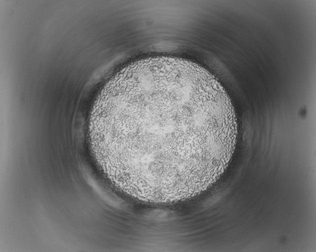 X0000115210542200911251510