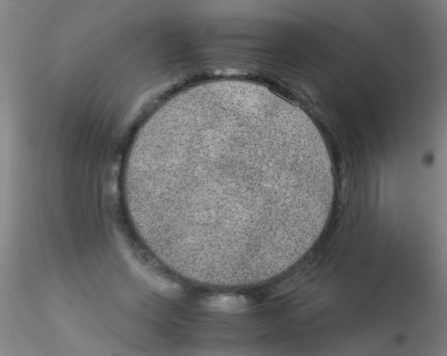 X0000115210543200911251510