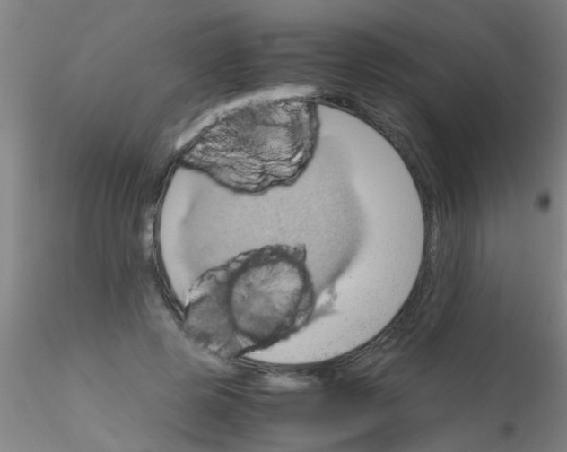 X0000115210545200911251510