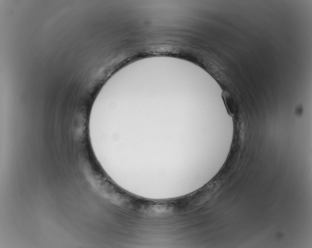 X0000115210546200911251510