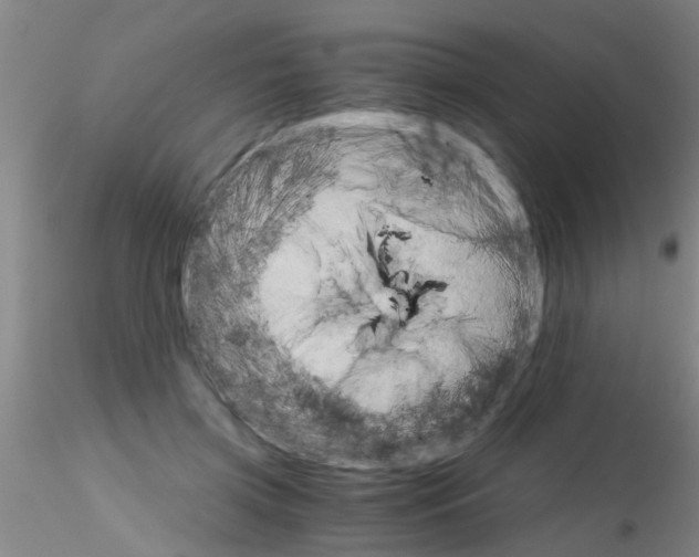 X0000115210549200911251510