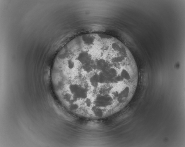 X0000115210550200911251510