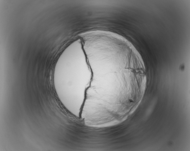 X0000115210553200911251510