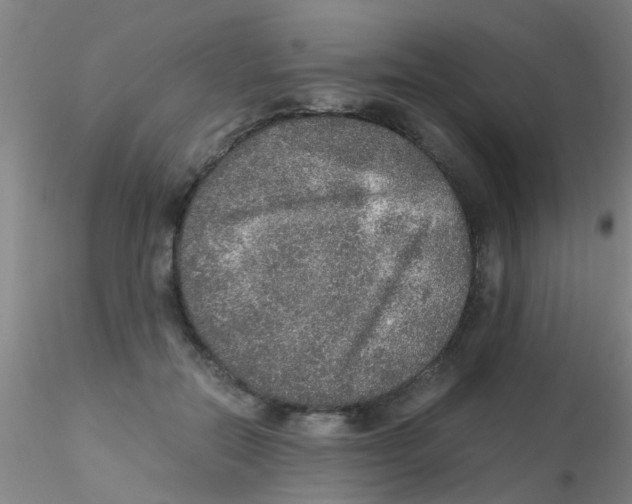 X0000115210554200911251510