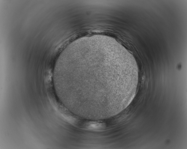 X0000115210555200911251510