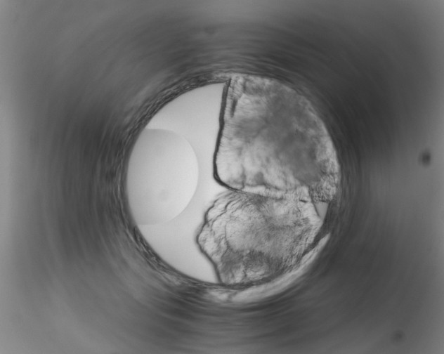 X0000115210557200911251510