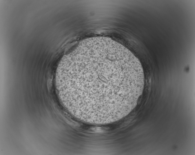 X0000115210558200911251510