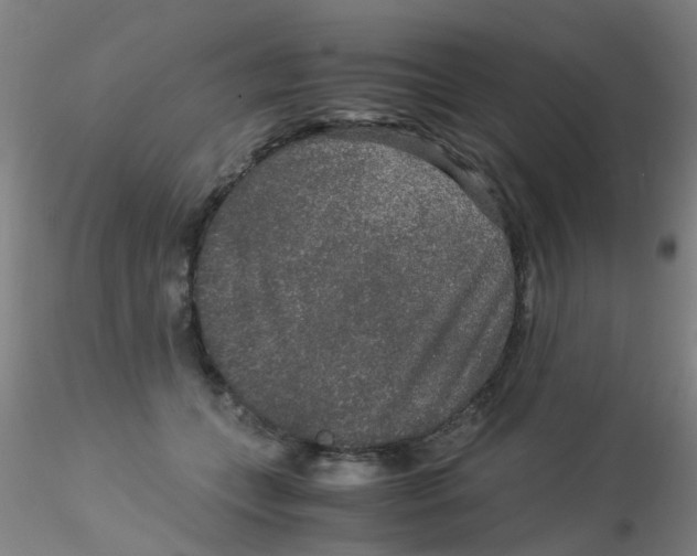 X0000115210559200911251510