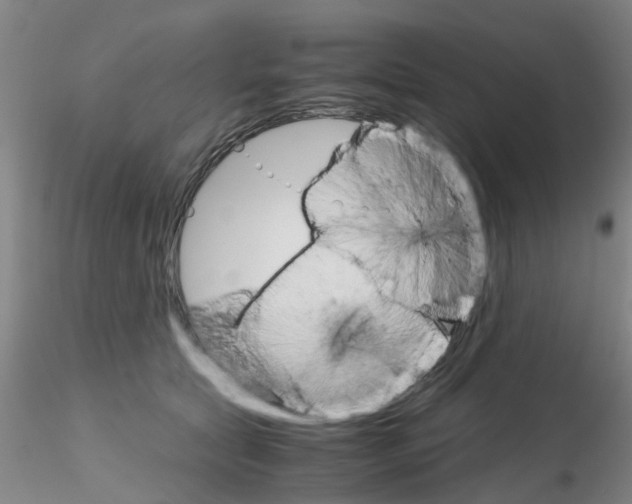 X0000115210561200911251510