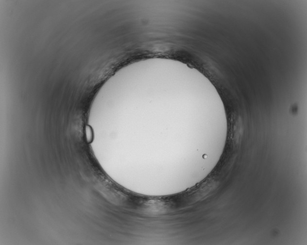 X0000115210562200911251510