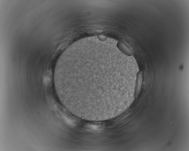 X0000115210563200911251510