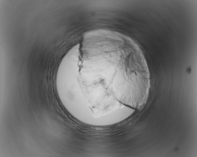 X0000115210565200911251510