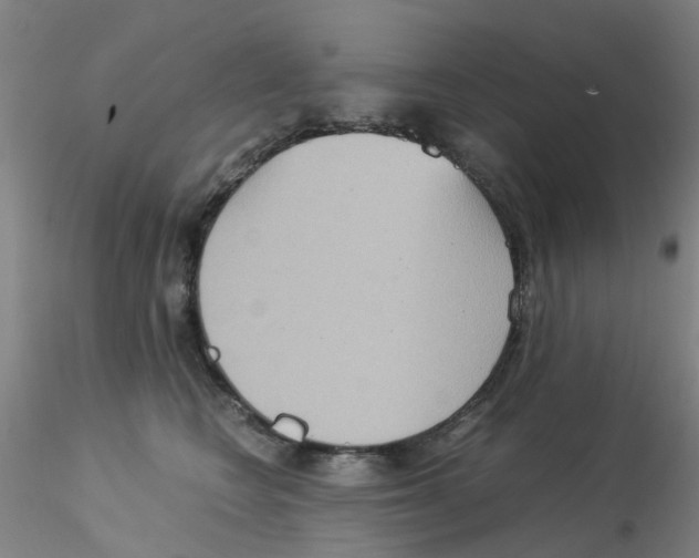 X0000115210566200911251510