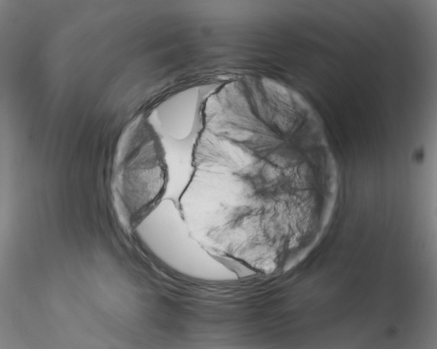 X0000115210569200911251510