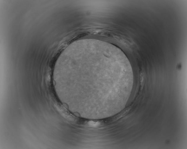 X0000115210570200911251510