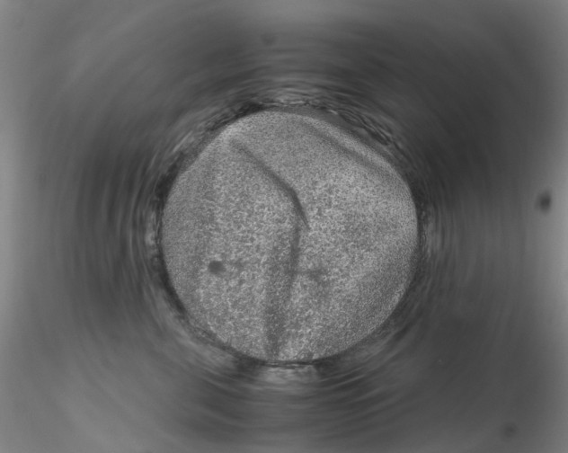 X0000115210571200911251510