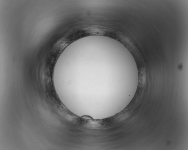 X0000115210573200911251510