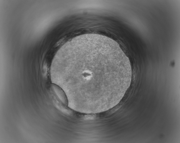 X0000115210574200911251510