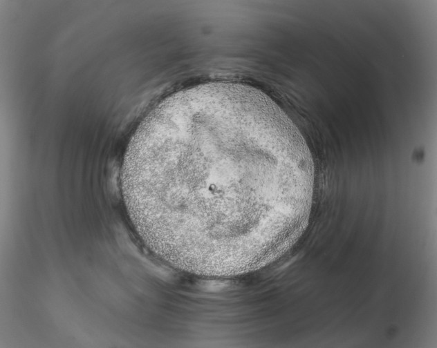 X0000115210575200911251510