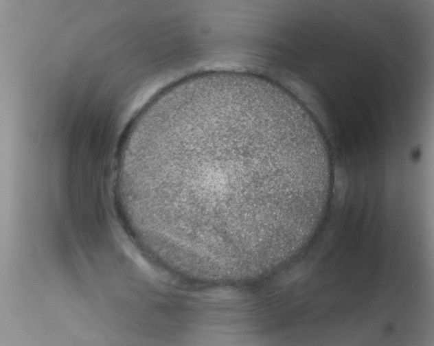 X0000115210578200911251510