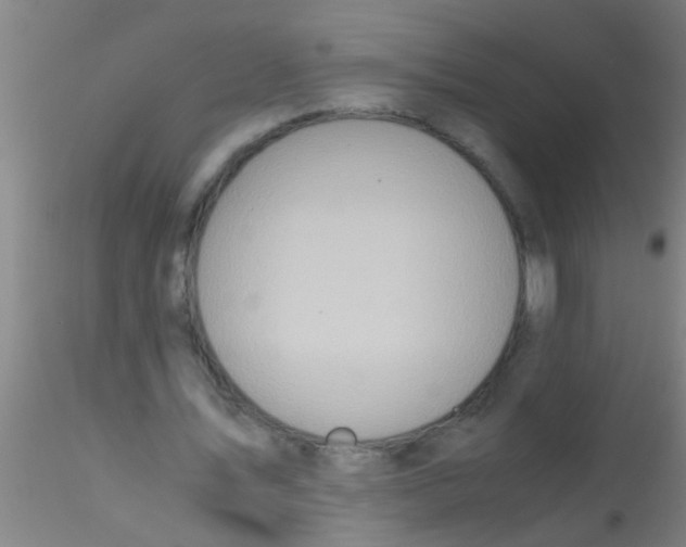 X0000115210579200911251510