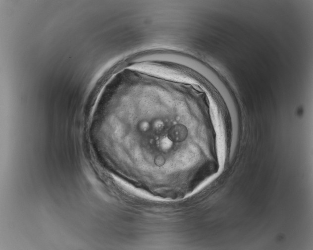 X0000115210580200911251510