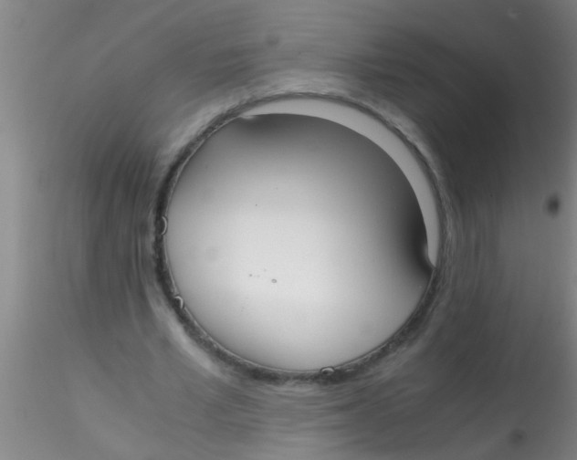 X0000115210581200911251510