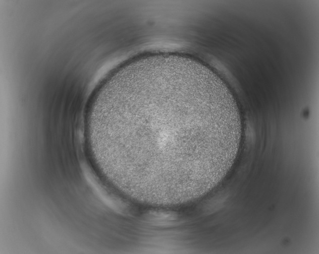 X0000115210582200911251510