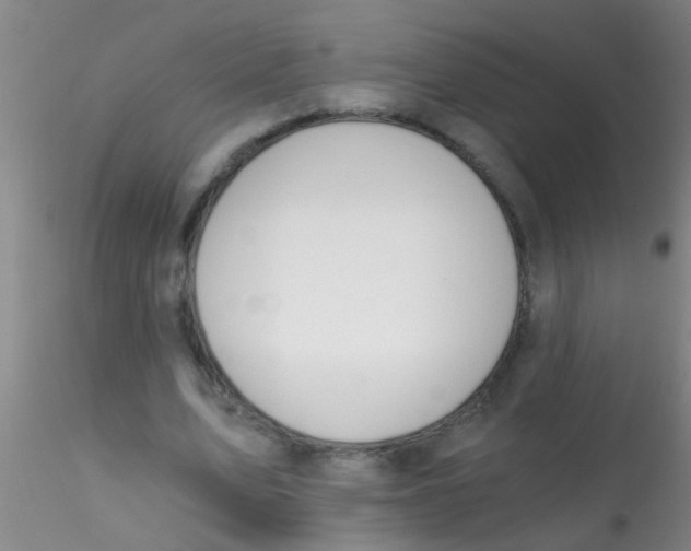 X0000115210583200911251510