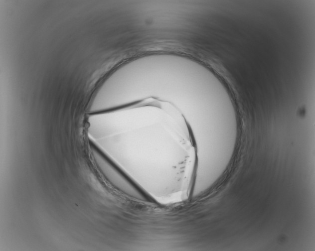 X0000115210585200911251510