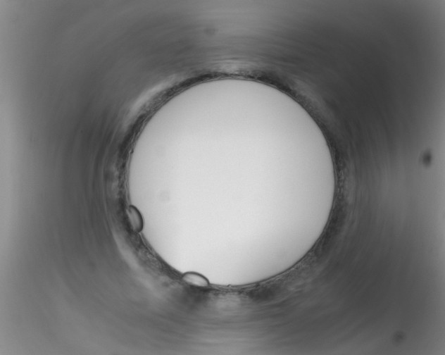 X0000115210587200911251510