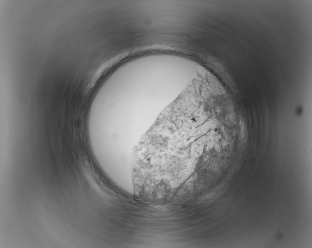 X0000115210588200911251510