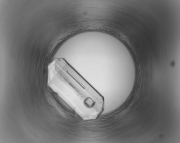 X0000115210589200911251510