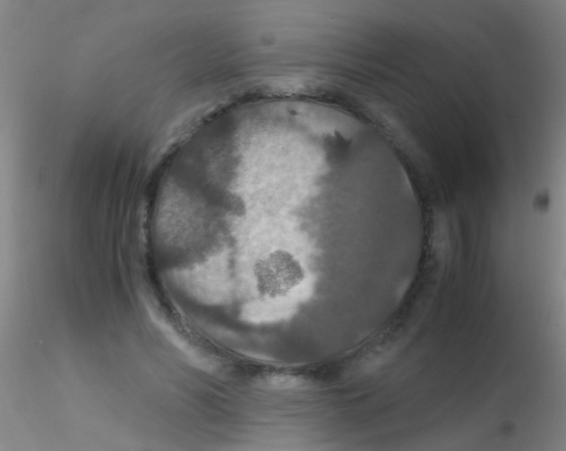 X0000115210590200911251510