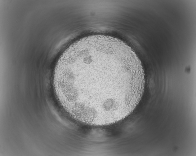 X0000115210591200911251510