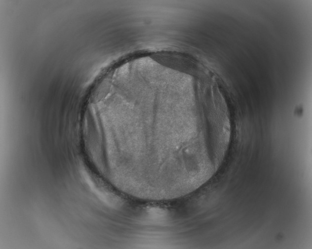 X0000115210592200911251509