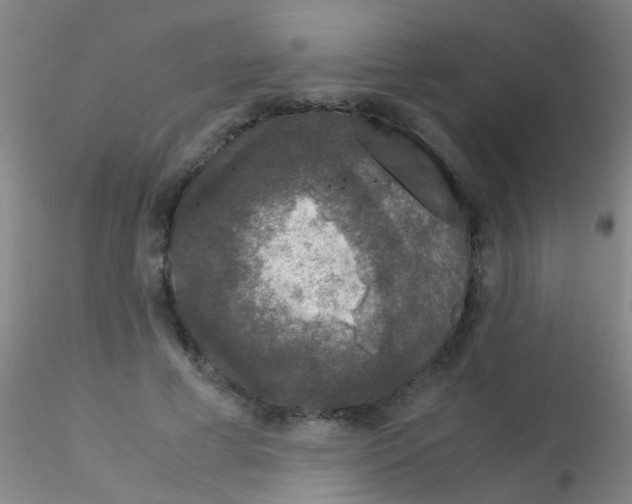 X0000115210593200911251509