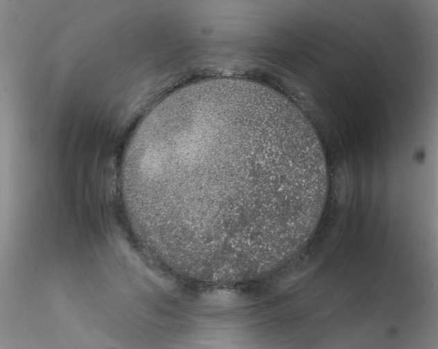 X0000115210594200911251509