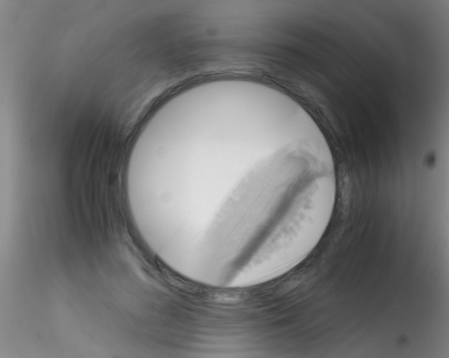 X0000115210596200911251509