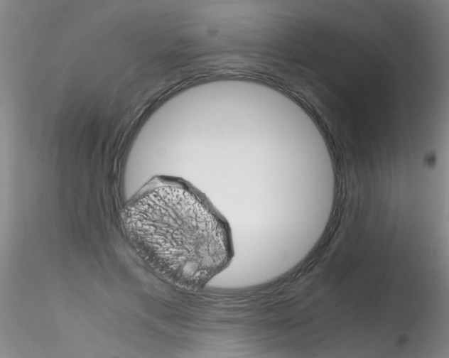 X0000115210597200911251509