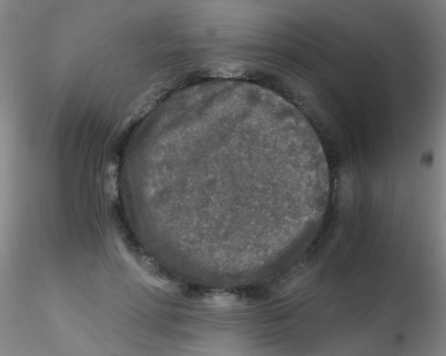 X0000115210598200911251509