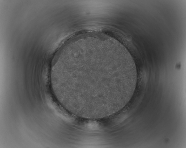 X0000115210600200911251509