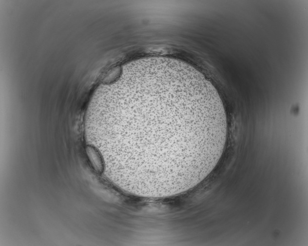 X0000115210601200911251509