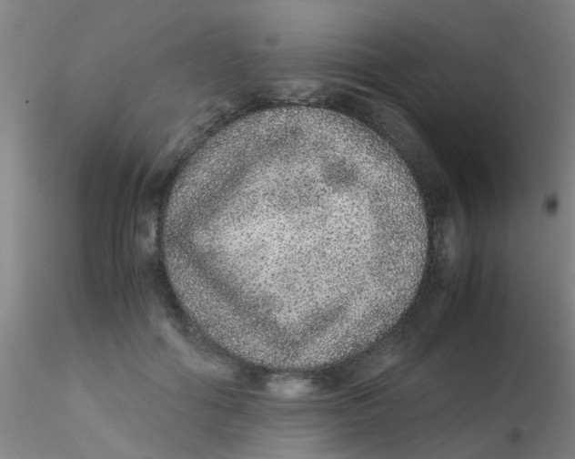 X0000115210602200911251509