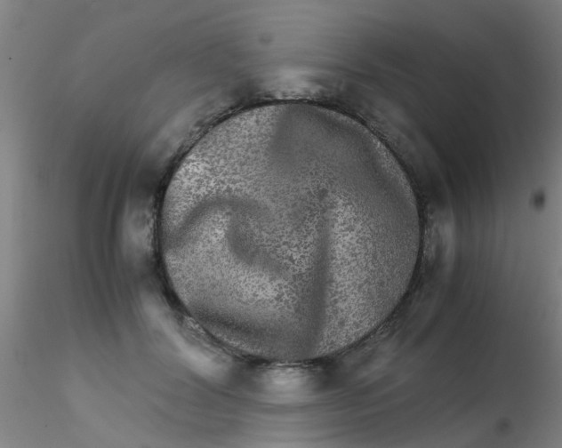 X0000115210604200911251509