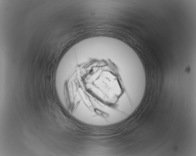 X0000115210605200911251509