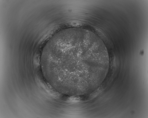 X0000115210606200911251509