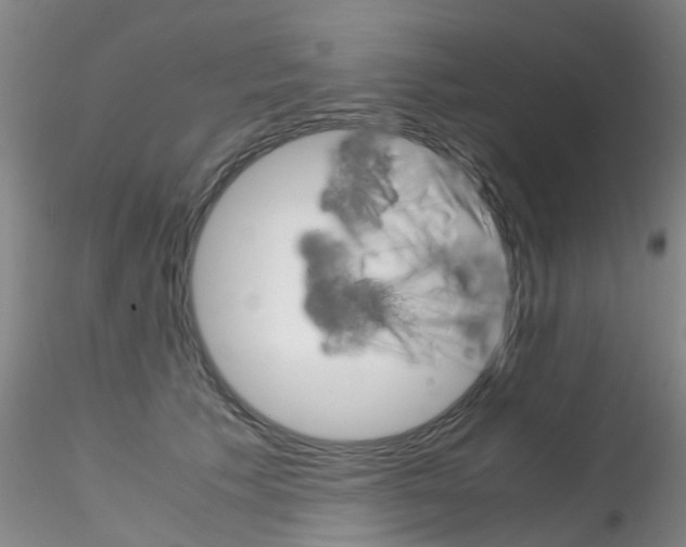 X0000115210609200911251509