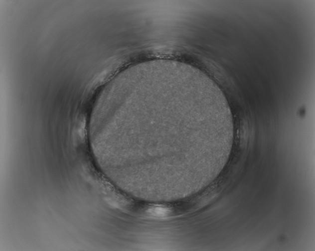 X0000115210610200911251509